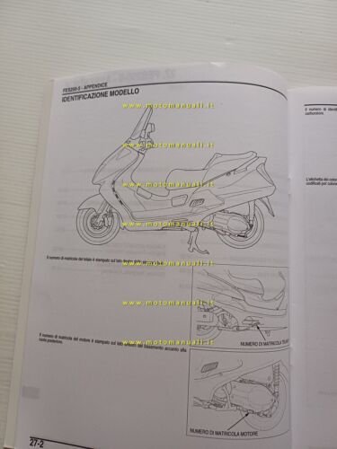 Honda Foresight FES 250 VARIANTI 2004-5 manuale officina ITALIANO originale