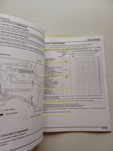 Honda Foresight FES 250 VARIANTI 2004-5 manuale officina ITALIANO originale