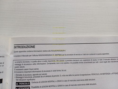Honda Forza NSS 250 A VARIANTI 2004 manuale officina ITALIANO …