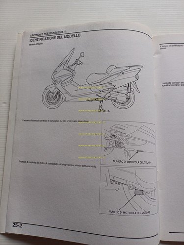Honda Forza NSS 250 A VARIANTI 2004 manuale officina ITALIANO …