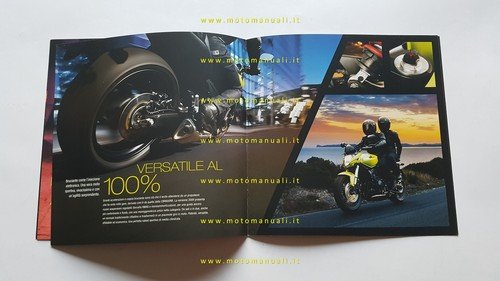 Honda Hornet 600 2009 depliant italiano originale