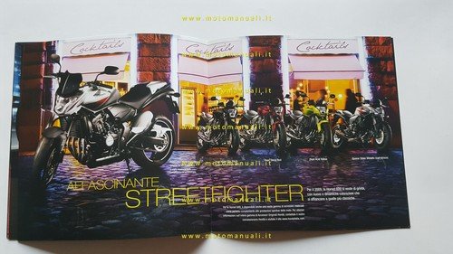 Honda Hornet 600 2009 depliant italiano originale