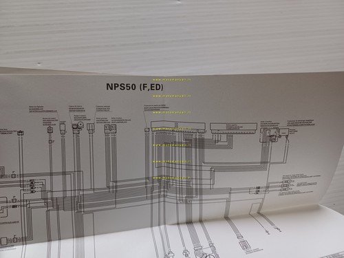 Honda NPS 50 Zoomer 2004-05 manuale uso manutenzione originale
