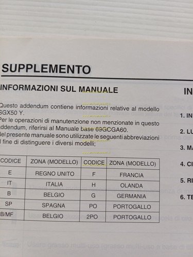 Honda Sky SGX 50 VARIANTI 1999 manuale officina ITALIANO originale