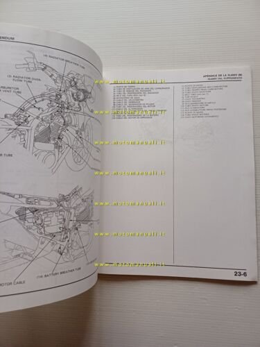 Honda Transalp XL 600 V VARIANTI 1990 manuale officina ITALIANO …