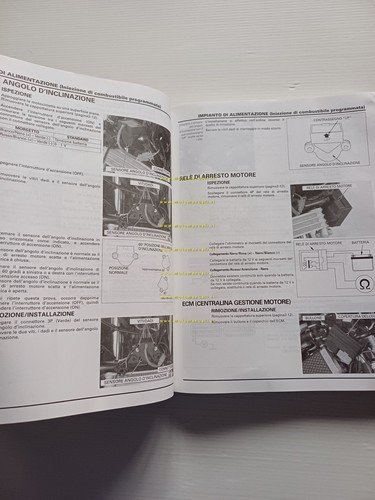 HONDA VFR 800 - VFR 800 ABS 2001-02 manuale officina …