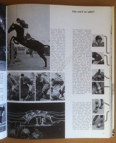 Isenbart Buhrer - Il Regno del Cavallo - Mondadori 1970 …
