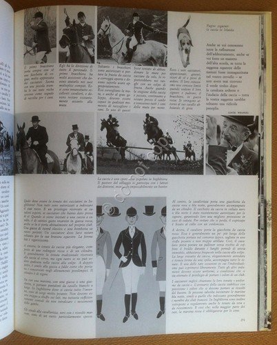 Isenbart Buhrer - Il Regno del Cavallo - Mondadori 1970 …