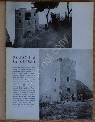 Jacob Tsour - Fedeltà a Sion - K.K.L. - Fondo … | Immagine Gallery 2