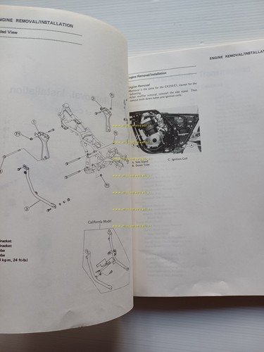Kawasaki 250 HS-Eliminator 1988-91 AGGIORNAMENTO manuale officina originale