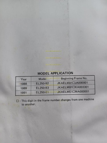 Kawasaki 250 HS-Eliminator 1988-91 AGGIORNAMENTO manuale officina originale