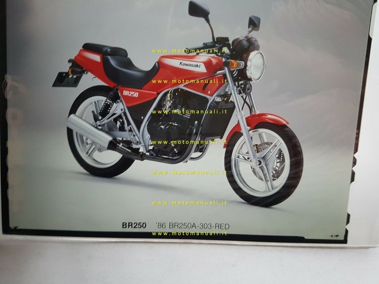 Kawasaki BR 250 - GPZ 250 R 3 positivi a …