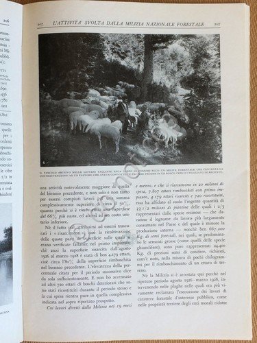 L'Alpe - Rivista Forestale Italiana - Touring Club Italiano - … | Immagine Gallery 2