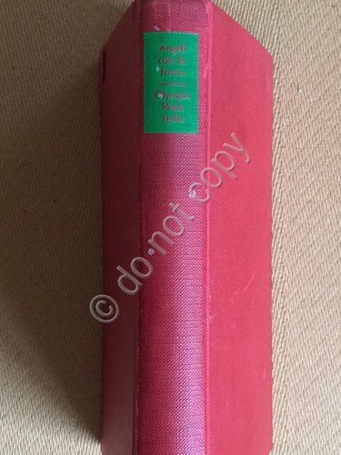 Libro Book - Selena Warfield - Angeli con la Frusta …