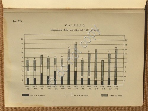 Libro Nascimbene Il Problema dei Problemi Gallarate 1939 Storia Caiello … | Immagine Gallery 2