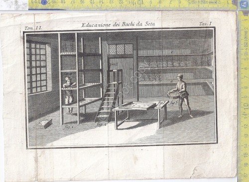 Litografia - Educazione dei bachi da seta - Tav I … | Immagine principale