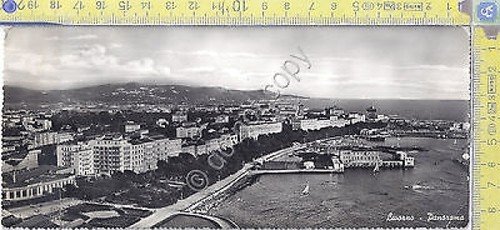 Livorno -Panorama - View - 1958 - Cartolina - Postcard