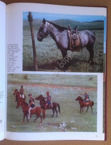 Luigi Nereo - il Cavallo origini razze attitudini - De …