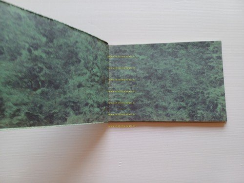 Moto Guzzi Airone 250 1951 manuale officina italiano originale