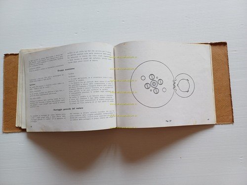 Moto Guzzi Galletto 192 1955 manuale officina originale