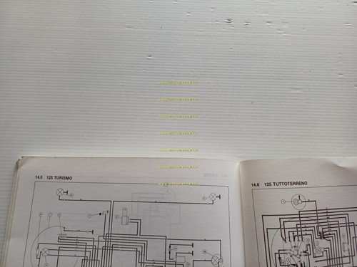 Moto Guzzi tutti modelli 50-125 2 Tempi 1980 Manuale Officina …