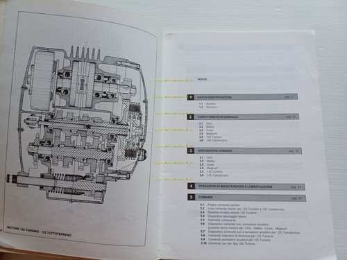 Moto Guzzi tutti modelli 50-125 2 Tempi 1980 Manuale Officina …