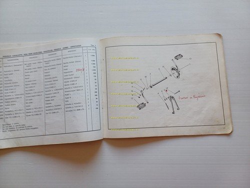 Motom 50 Daina 1967 catalogo ricambi originale spare parts catalogue