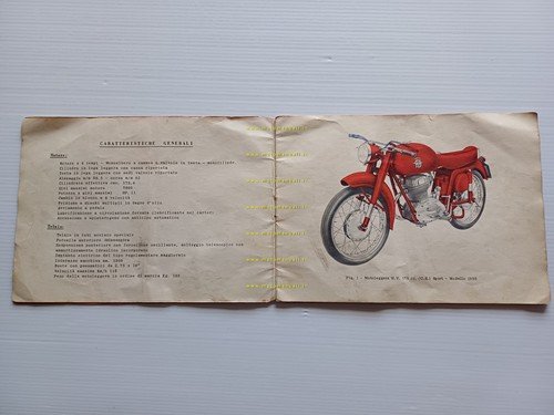 MV Agusta 175 C.S. Sport 1956 manuale uso manutenzione libretto …