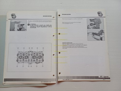 MV Agusta 750 F4 Serie Oro - Strada 1999 manuale …