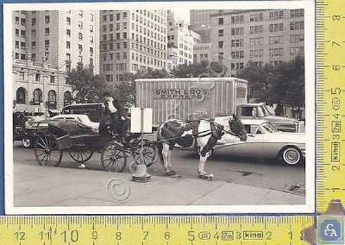 New York - Carrozza a cavalli - Horse Drawn Cab … | Immagine principale