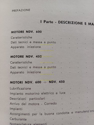 Palmieri motori industriali NDV 600-450 manuale uso+catalogo ricambi originale