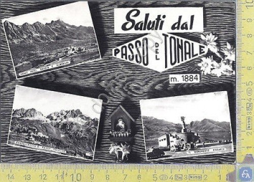 Passo del Tonale - Saluti - 1960 - Cartolina - … | Immagine principale