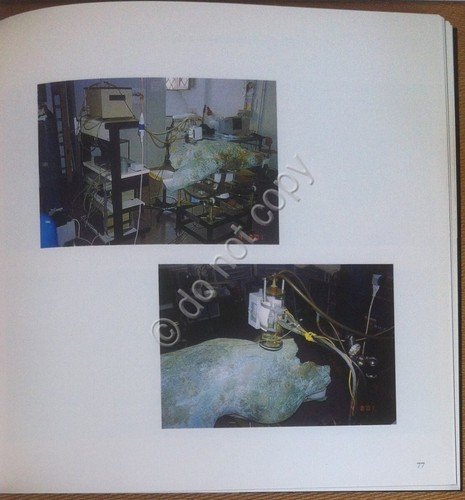 Petriaggi - Il Satiro Danzante - Leonardo International 2003 - …