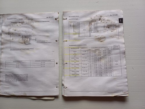 Piaggio 50 ZIP SP-Catalyzed- 4T 50-125 2000 manuale officina TELAIO …