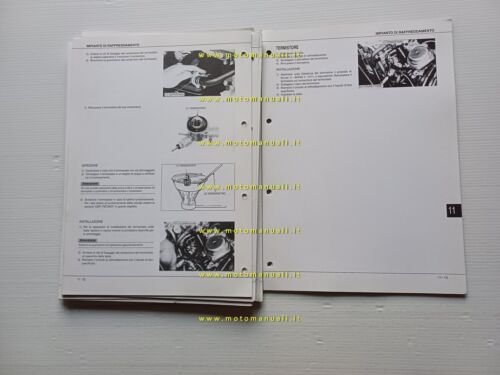 Piaggio Motori 250 1998 manuale officina italiano originale