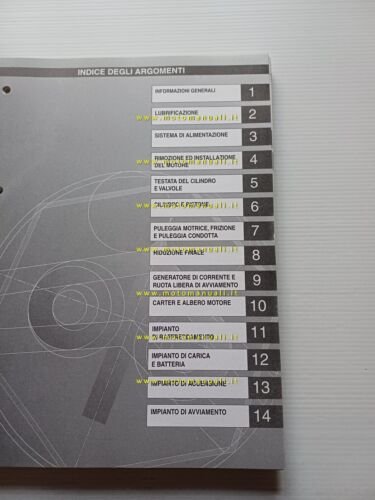 Piaggio Motori 250 1998 manuale officina italiano originale