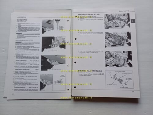 Piaggio Motori 250 1998 manuale officina italiano originale