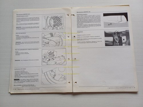 Piaggio Skipper 125 - ZIP Fast Rider VARIANTI manuale officina …