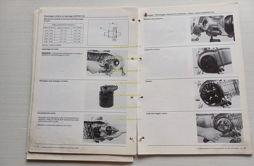 Piaggio Skipper 125 - ZIP Fast Rider VARIANTI manuale officina …