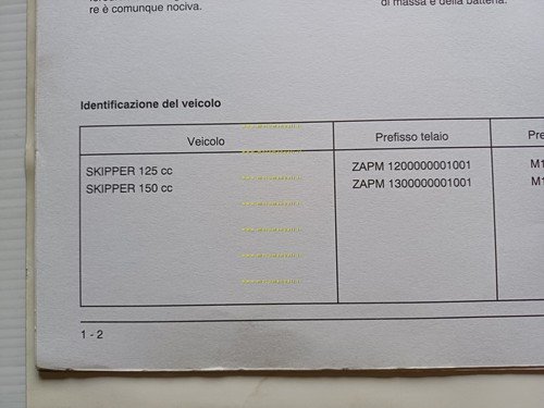 Piaggio Skipper 125 -180- 125 4T 2000 manuale officina TELAIO …
