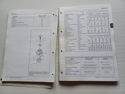 Piaggio Skipper 125 -180- 125 4T 2000 manuale officina TELAIO …