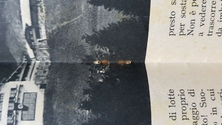 R.A.C.I. rivista anteguerra REAL AUTOMOBIL CLUB ITALIANO fascicolo n.8 1938