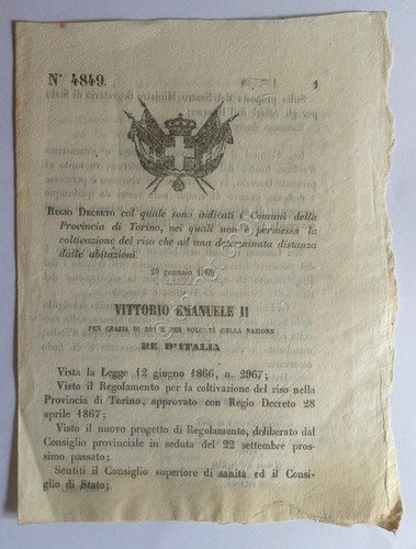Regio Decreto 4849 comuni provincia Torino coltivazione riso non permessa | Immagine principale
