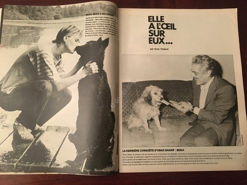 Rivista Magazine Elle 14 Gennaio 1980 n. 1775 Omar Sharif | Immagine Gallery 3