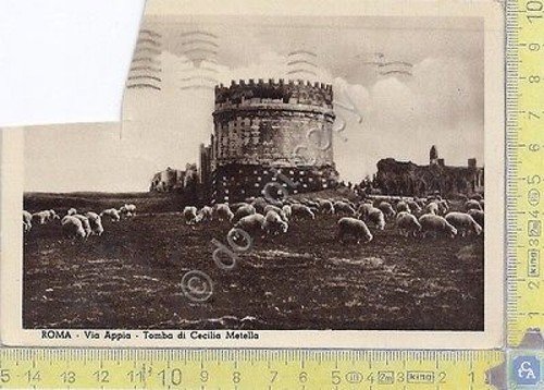Roma - Via Appia con pecore - Tomba di Cecilia … | Immagine principale
