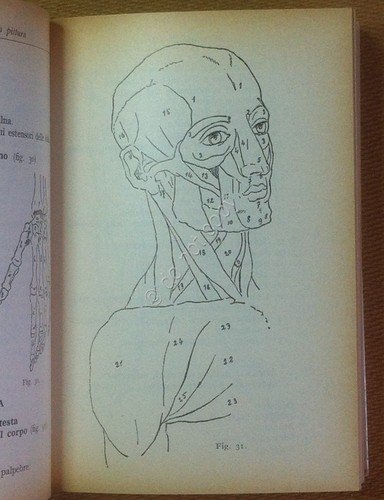 Ronchetti - Manuale per i Dilettanti di Pittura - Hoepli … | Immagine Gallery 2