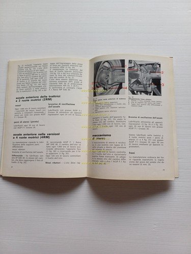 SAME Minitauro 60 2 RM - 4 RM 1972 trattore …