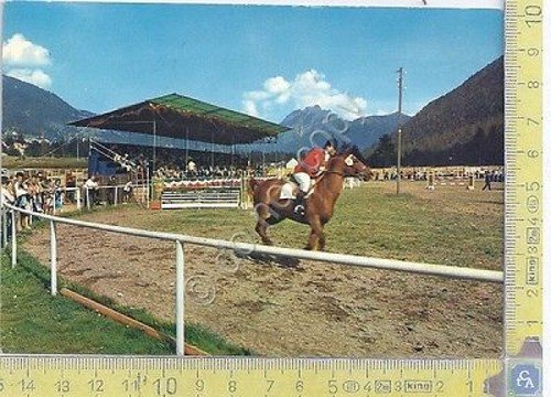 Santa Maria Maggiore - Maneggio dei cavalli - 1972 | Immagine principale