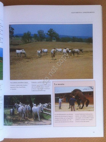 Sarah Haw - Il Libro del Cavallo - Fabbri 1990 …