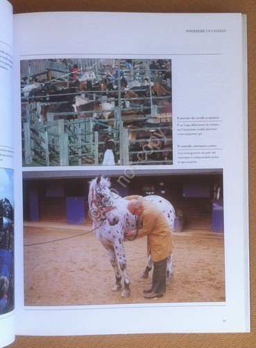 Sarah Haw - Il Libro del Cavallo - Fabbri 1990 … | Immagine Gallery 3